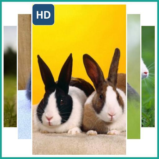 35 Gambar Wallpaper for Android Rabbit terbaru 2020 35 Gambar Wallpaper for Android Rabbit terbaru 2020