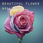Beautiful Flower Wallpaper HD 图标