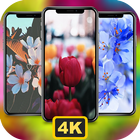 Aesthetic Flowers Wallpaper 4K icône