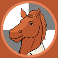 Chess Fan AR
