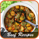 1000+ All Beef Recipes-icoon