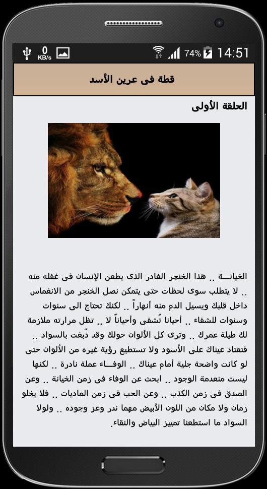 الاسد عرين Lions of