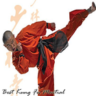 Best Kung Fu Martial Arts Training آئیکن