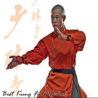 Meilleure formation d'arts martiaux de Kung Fu Affiche