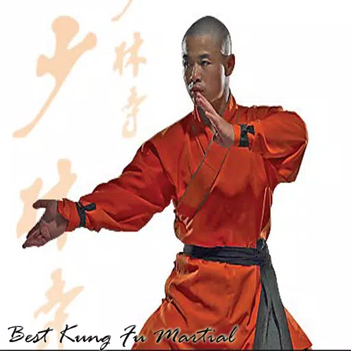 Descarga de APK de Mejor entrenamiento de artes marciales de Kung Fu para  Android