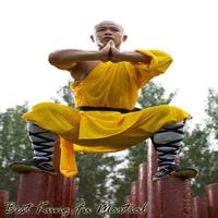 برنامه‌نما Best Kung Fu Martial Arts Training عکس از صفحه