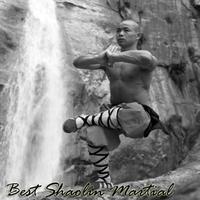 Best Shaolin Martial Arts Movement Training penulis hantaran