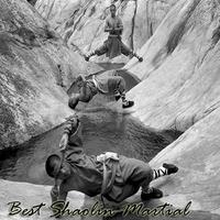 Best Shaolin Martial Arts Movement Training syot layar 1