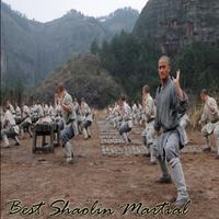 Best Shaolin Martial Arts Movement Training syot layar 2