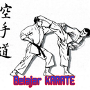 Karate Learning Techniques APK
