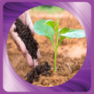 How to make organic fertilizer