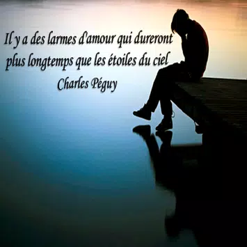 Proverbes Et Citations Mots Sur La Vie Et L Amour For Android Apk Download