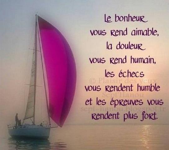 Proverbes Et Citations Mots Sur La Vie Et L Amour For Android Apk Download