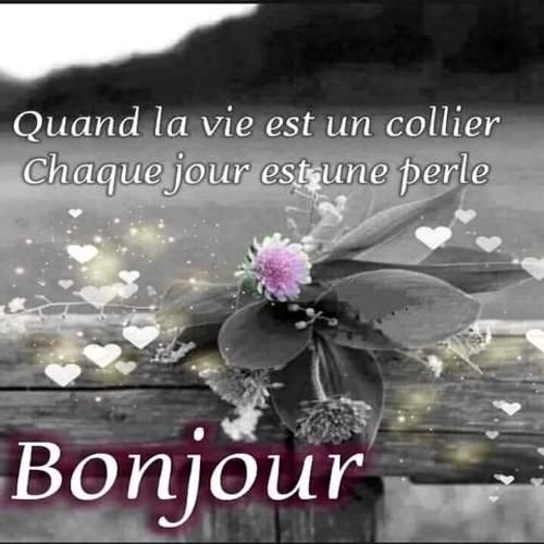 Proverbes Et Citations Mots Sur La Vie Et L Amour For Android Apk Download