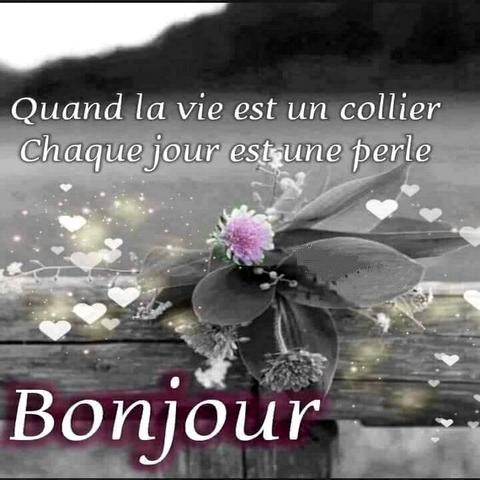 Citation La Vie Lamour