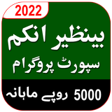Benazir Income Support icono