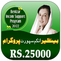 Benazir Income Support