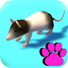 ¡ Juegos para Gatos 3D ! icono