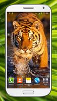 Bengal Tiger Live Wallpaper স্ক্রিনশট 2