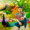 Peacock Lyrical Photo Editor ícone