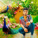 Peacock Photo Editor & Frames APK