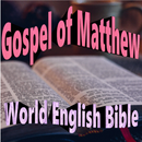 Gospel of Matthew  Bible Audio APK
