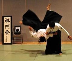 Best Aikido Technique Affiche