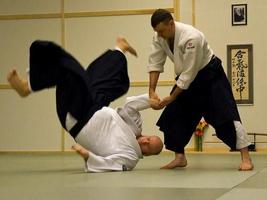 Best Aikido Technique capture d'écran 1