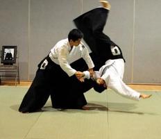 Best Aikido Technique capture d'écran 2