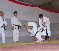 3 Schermata Best Aikido Technique