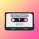 Voxel Raiders APK