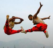 1 Schermata Best Chinese Martial Arts