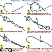 برنامه‌نما The Best Fishing Line Knot عکس از صفحه