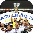 APK ⚽️🏆 BRASILEIRÃO 2018 REAL FOOTBALL