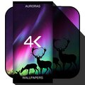 4K Aurora Wallpapers