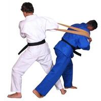 Best Judo Technique โปสเตอร์