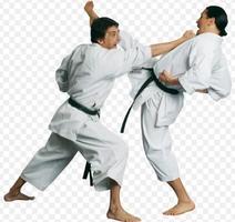 Best Judo Technique capture d'écran 1
