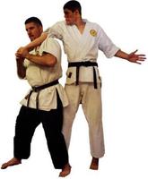 Best Judo Technique Screenshot 2