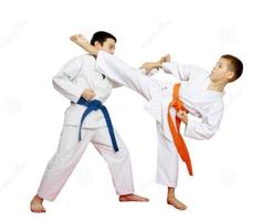 Best Karate Technique Affiche