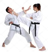 Best Karate Technique capture d'écran 3