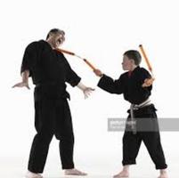 Best Kempo Self Defense Technique ภาพหน้าจอ 1