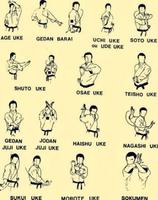 Poster Best Kung Fu Technique