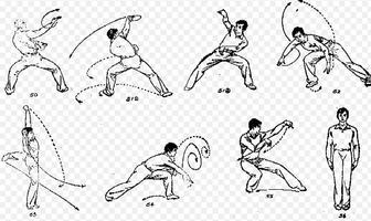Best Kung Fu Technique capture d'écran 3
