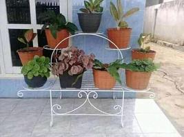 Creative flower shelf design اسکرین شاٹ 2