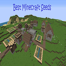 Best Minecraft Seeds APK