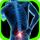 Lower Back Pain Exercises 아이콘
