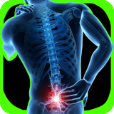 Lower Back Pain Exercises APK