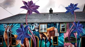 Waterford Walls الملصق