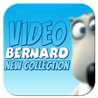 Icona Video Bernard Bear New Collection