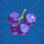 Berry Rush